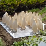 港北ノースポートモールに設置になったペンギンのアートオブジェ「- P.Parade -Social studies visit」の設置された様子です。ポリレジンでできており、陶器用の風合いの質感です。外構設置の様子。