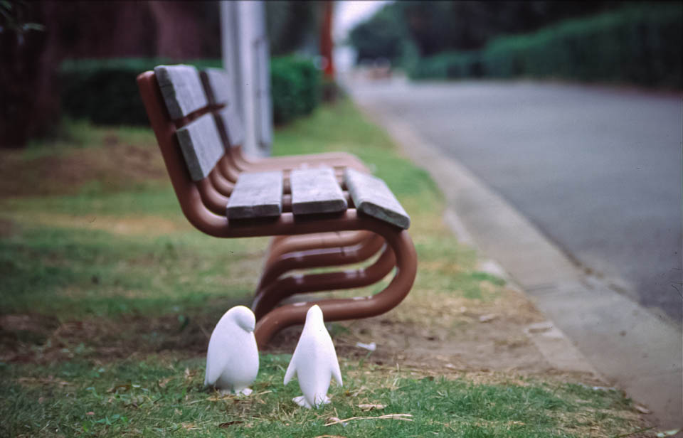 -P.Parade-ペンギンのアートオブジェは、1984年、千葉県海浜公園でのBay Park Funabashi Art展で初めてお目見えしました。その記録写真です。オーストラリアのフィリップ島に生息する世界で一番小さいペンギンフェアリーペンギン(コガタペンギン)と同じ大きさになっています。