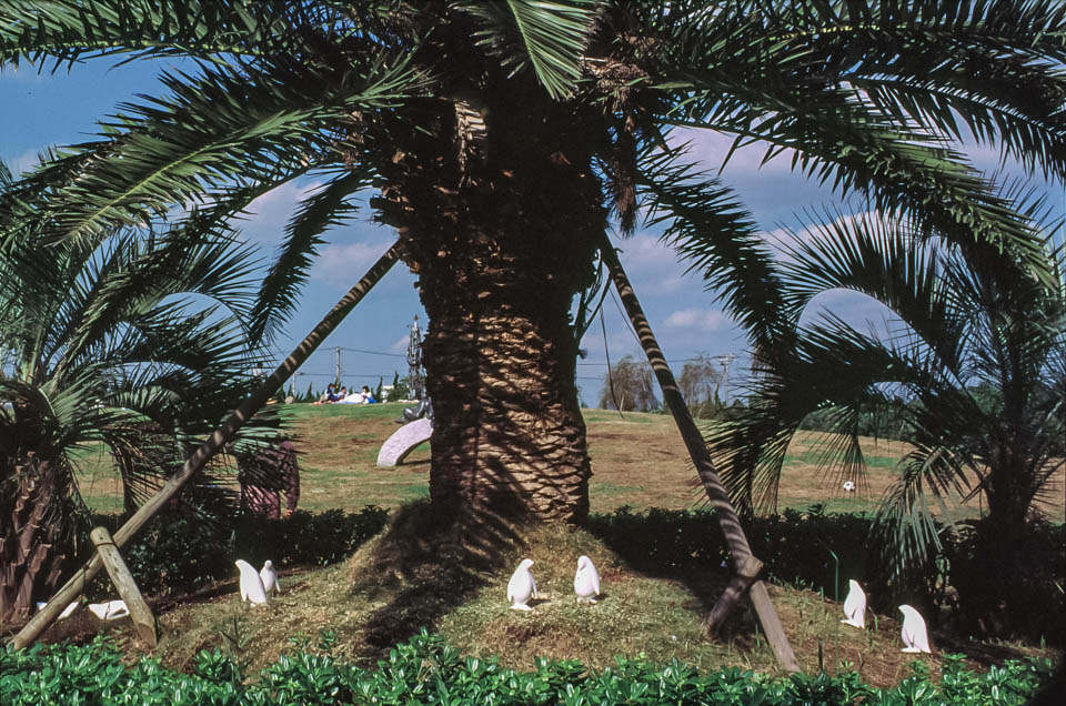 -P.Parade-ペンギンのアートオブジェは、1984年、千葉県海浜公園でのBay Park Funabashi Art展で初めてお目見えしました。その記録写真です。オーストラリアのフィリップ島に生息する世界で一番小さいペンギンフェアリーペンギン(コガタペンギン)と同じ大きさになっています。
