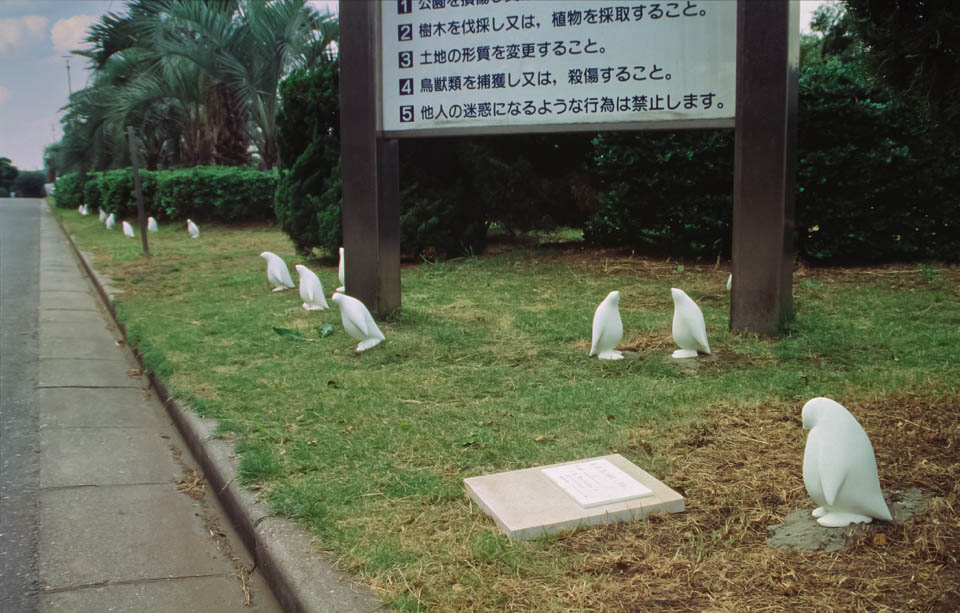 -P.Parade-ペンギンのアートオブジェは、1984年、千葉県海浜公園でのBay Park Funabashi Art展で初めてお目見えしました。その記録写真です。オーストラリアのフィリップ島に生息する世界で一番小さいペンギンフェアリーペンギン(コガタペンギン)と同じ大きさになっています。