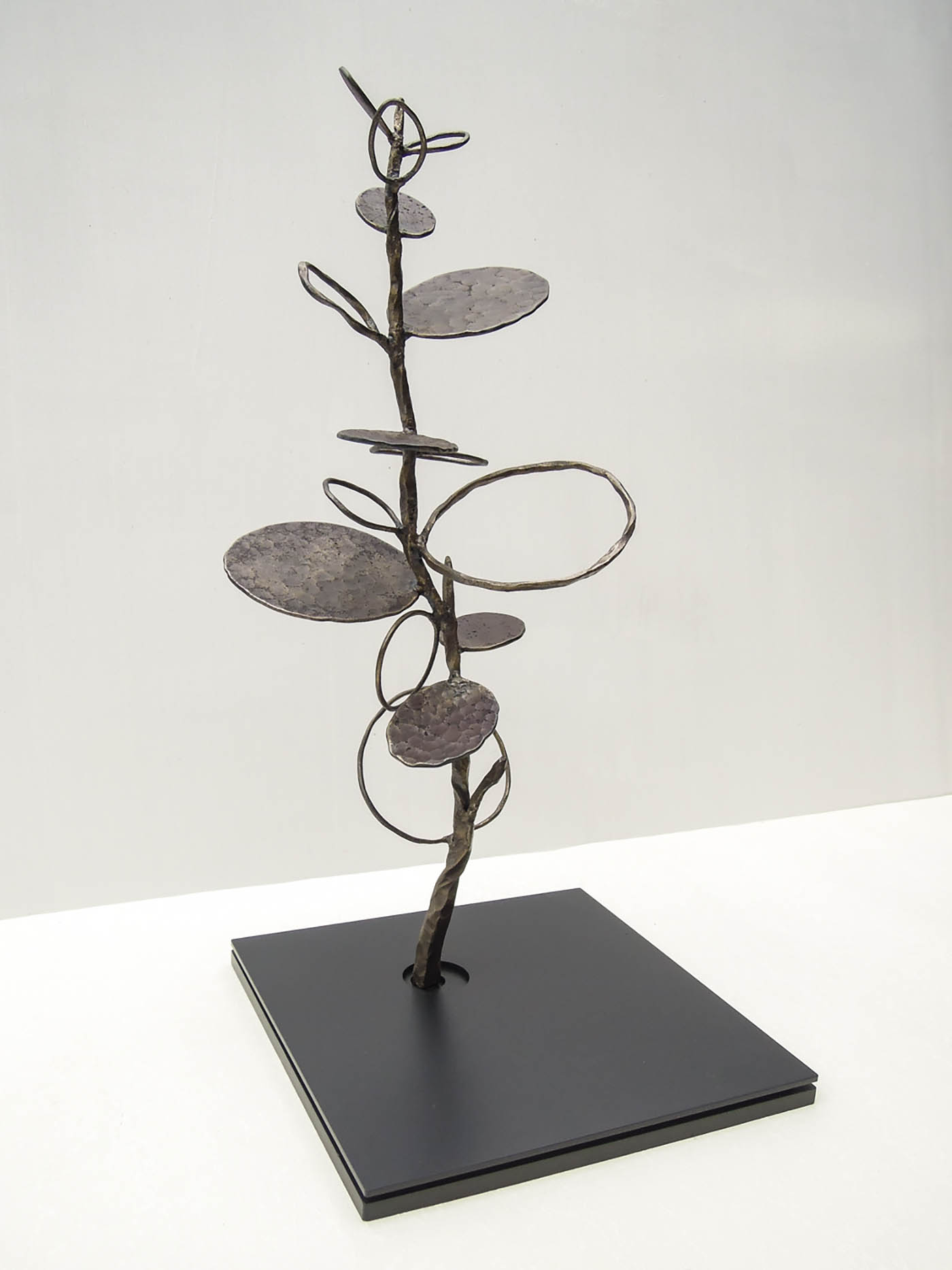 グリーンドラムという植物をモチーフにデザインした鉄のオブジェ、彫刻作品です。 葉の大きさに大小をつけて幾何学的に散らしました。
