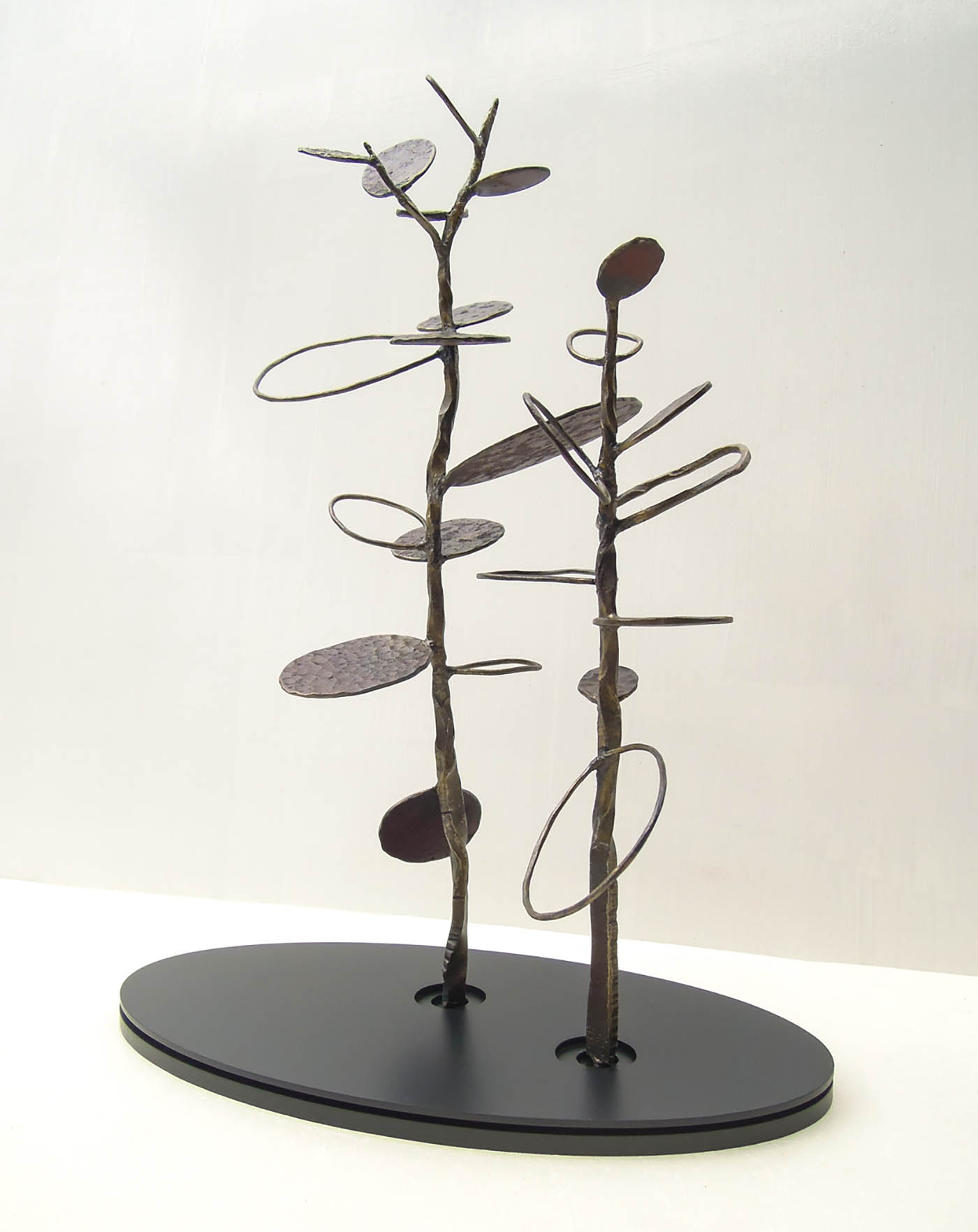 グリーンドラムという植物をモチーフにデザインした鉄のオブジェ、彫刻作品です。 葉の大きさに大小をつけて幾何学的に散らしました。