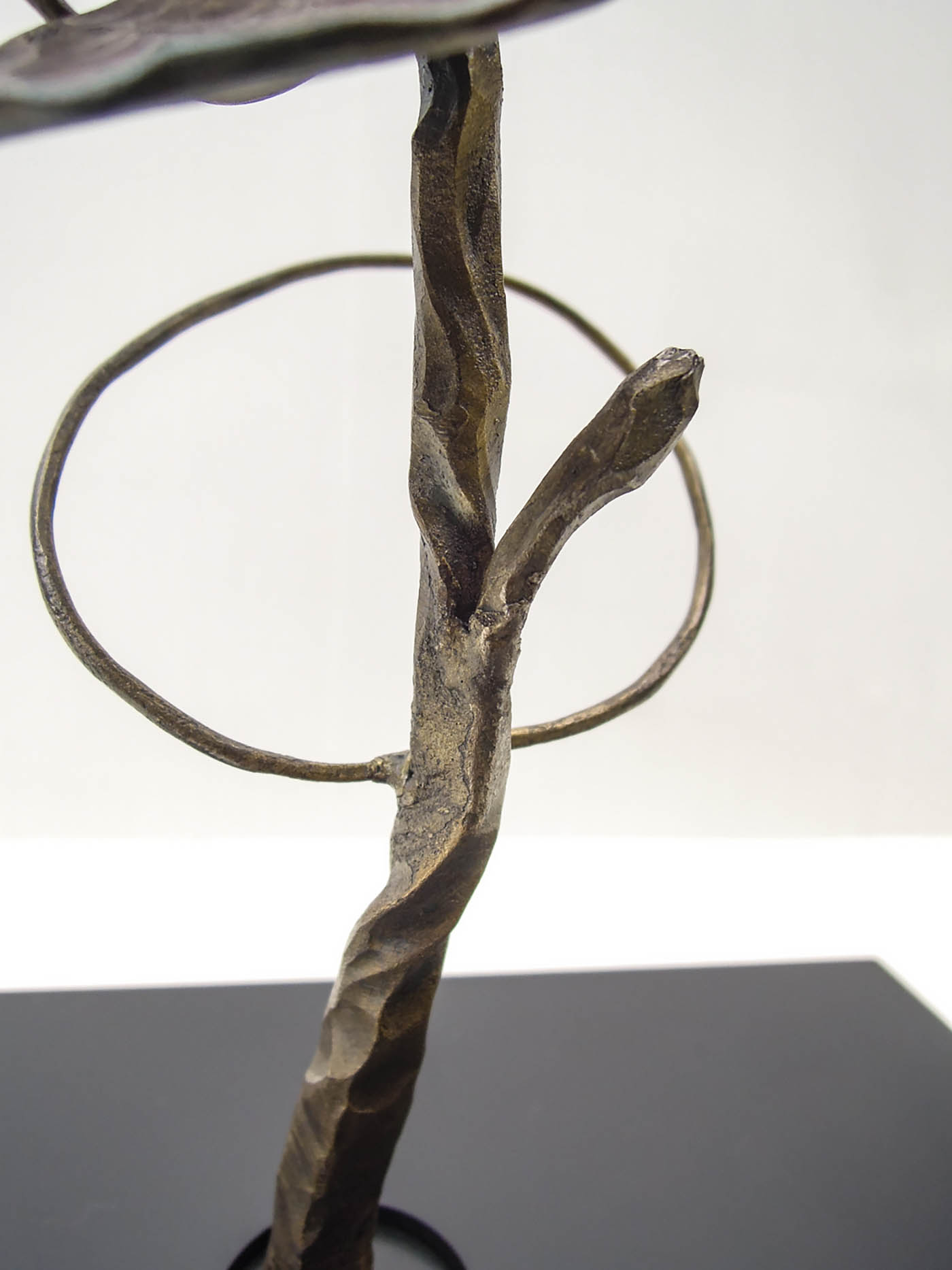 グリーンドラムという植物をモチーフにデザインした鉄のオブジェ、彫刻作品です。 葉の大きさに大小をつけて幾何学的に散らしました。茎の表現。