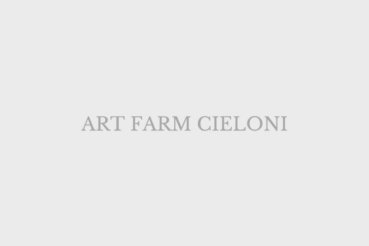 youtubeに、アート ファーム シェロニのチャンネルを創りました。